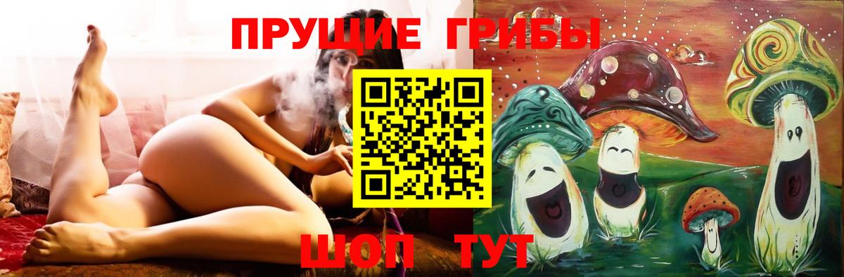 Псилоцибиновые грибы мухоморы Электрогорск