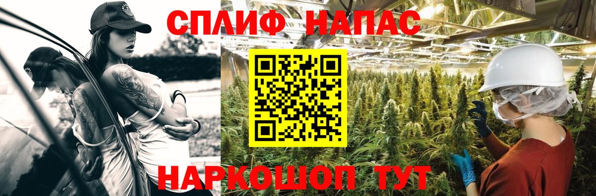 Канабис семена  Бошки Шишки планчик  Каннабис марихуана  Марихуана план  Вход с VPN  Электрогорск 